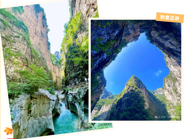 微信图片_2025-11-12_153033_869 副.JPG